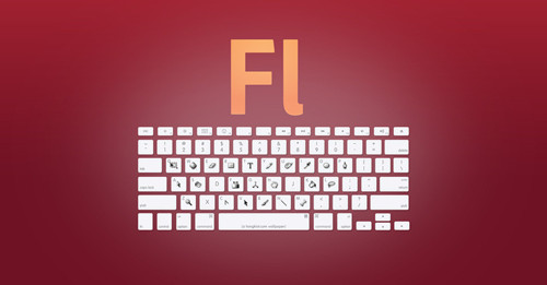 flashѵ ѧflash