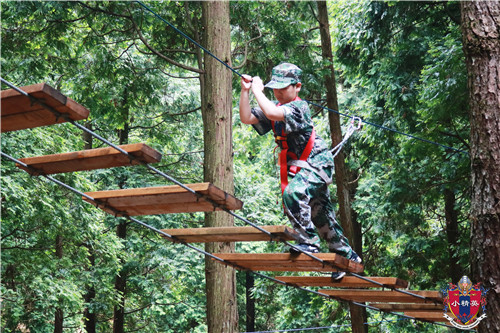 �Ϻ���Сѧ������Ӫ�ļҺ� �Ϻ���Сѧ��רע������Ӫ