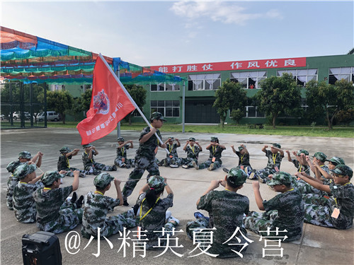 ���ݾ�ѵ��������Щ ������Сѧ����ѵ����