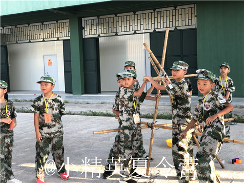 ���ݾ�ѵ��������Щ ������Сѧ����ѵ����