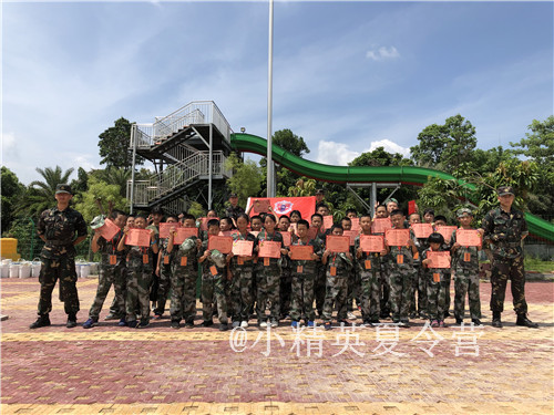 �ϲ���Сѧ����ټ���ѵ��Ӫ