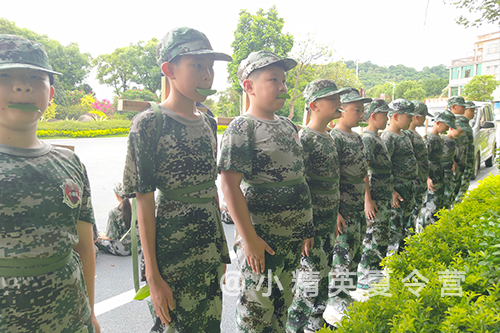 �ϲ���Сѧ����ټ���ѵ��Ӫ