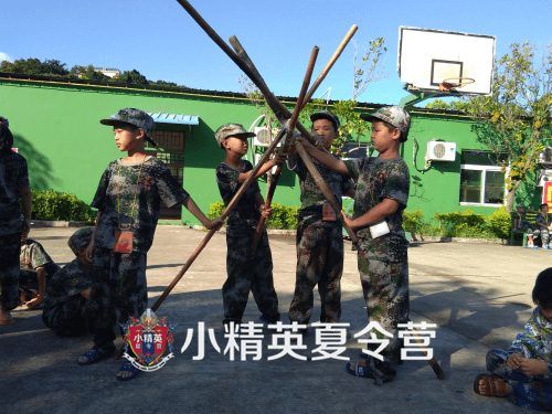 ����7���������Ӫ(2019) ���ž�������Ӫ�����绰