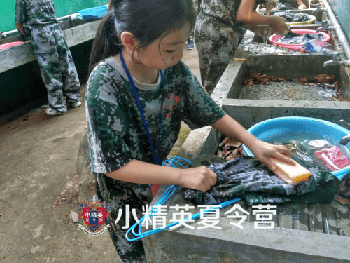 2019����С��Ӣ��������Ӫ����