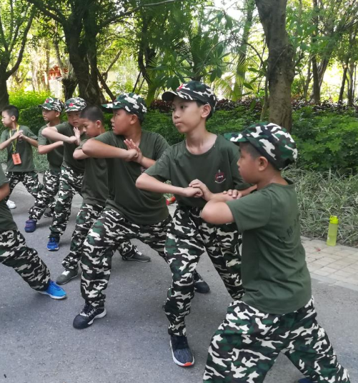 2019���ų������������Ӫ�Ƽ�