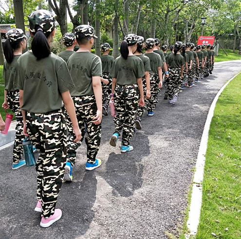 2019���ų������������Ӫ�Ƽ�