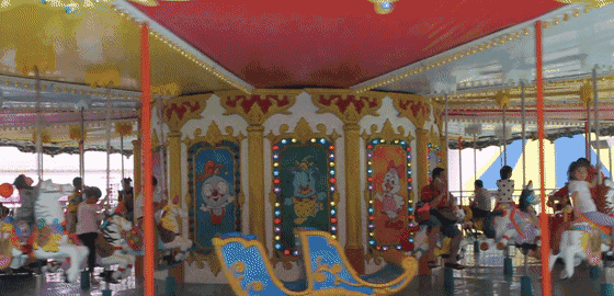 ���ſ��汤��԰�����������