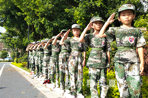 �ϲ������������Ӫѡ���ļҺ�