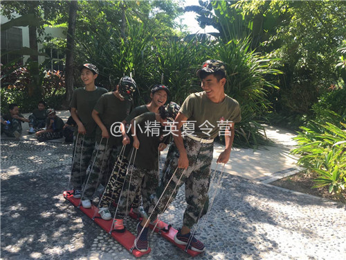 �����������Ӫ����Щ-С��Ӣ����Ӫ