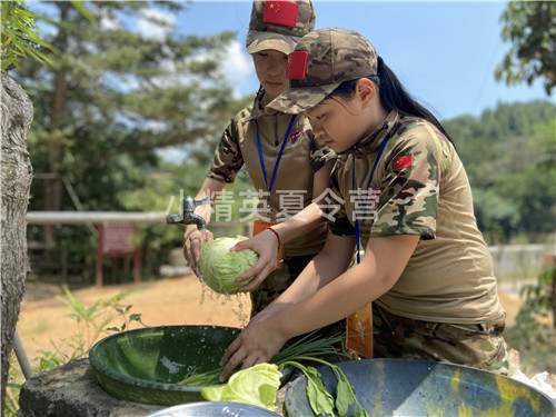 深圳暑期夏令营方案,报名招生