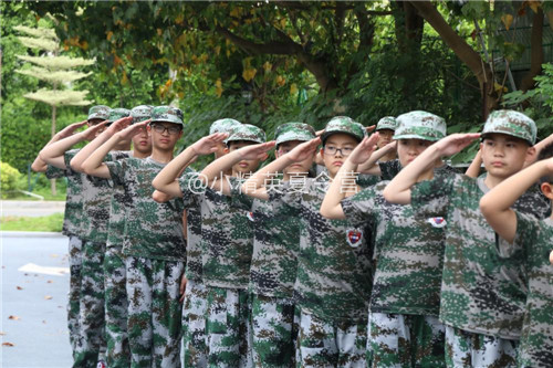 ���������а��ѵ����Ӫ-С��Ӣ����Ӫ