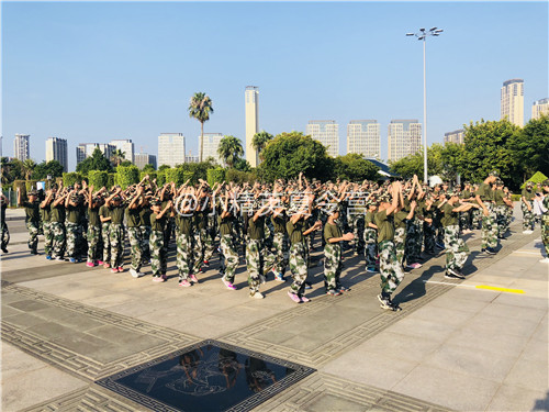 ���ż�����������Ӫ����Щ_����С��Ӣ����������Ӫ