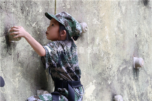 �����ܱ�13������Ӫ����_����С��Ӣ����Ӫ