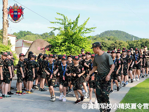 ����С��Ӣ����Ӫ