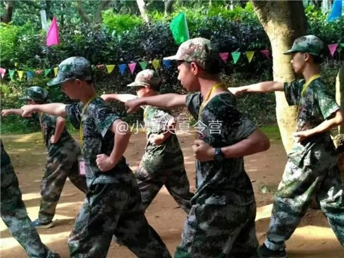 С��Ӣ����Ӫ