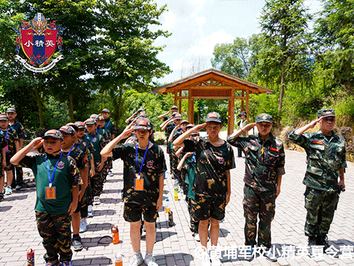 С��Ӣ����Ӫ