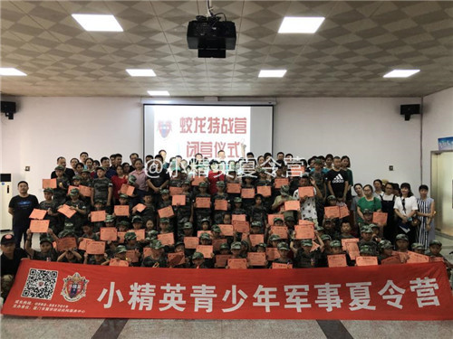 ����С��Ӣ����Ӫ