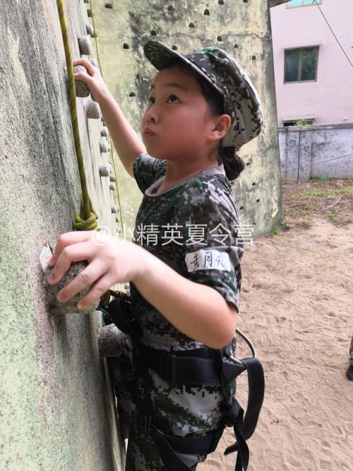 ����С��Ӣ����Ӫ